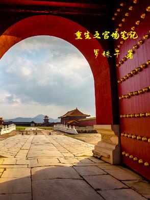 重生之官场鬼才免费阅读